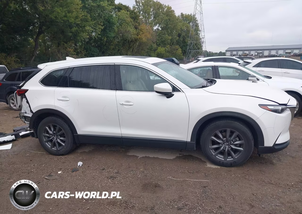 2021 Mazda Cx-9 Touring VIN:JM3TCBCYXM0534234 - 13