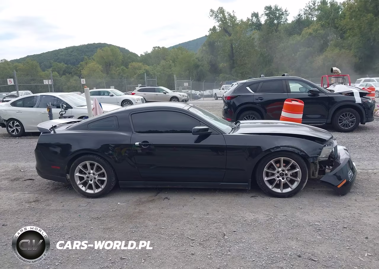 2010 Ford Mustang V6-V6 Premium VIN:1ZVBP8AN0A5105233 - 14