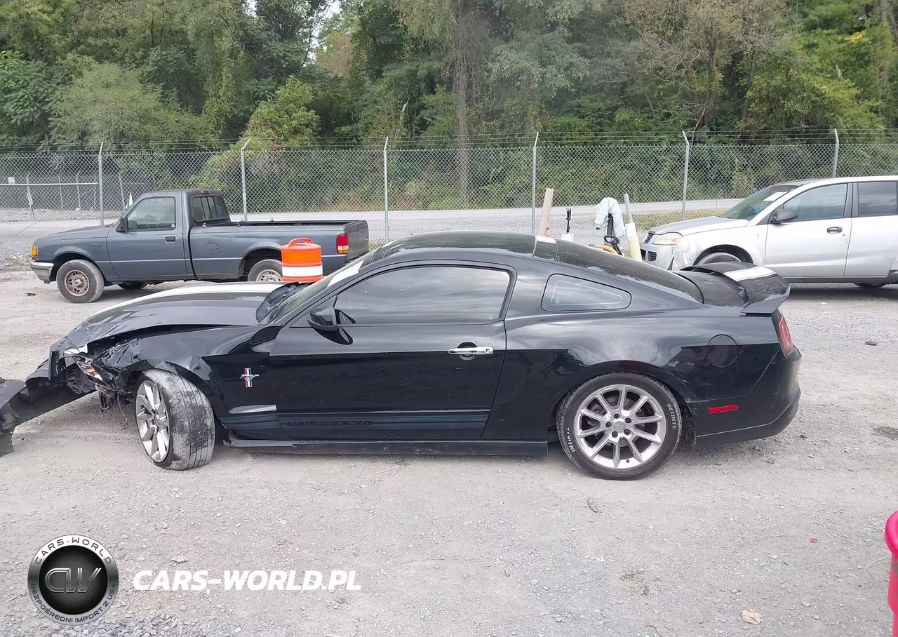 2010 Ford Mustang V6-V6 Premium VIN:1ZVBP8AN0A5105233 - 15