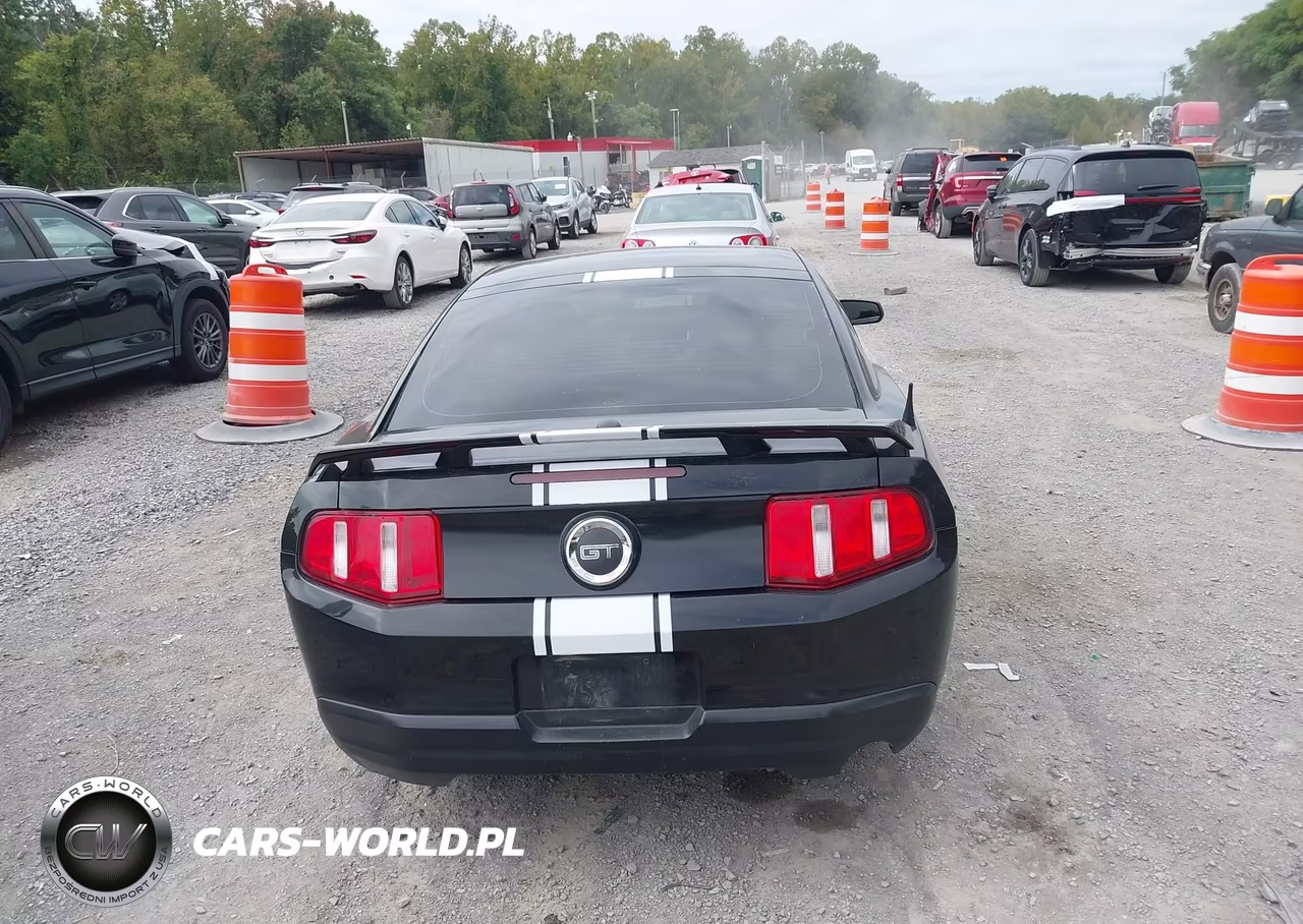 2010 Ford Mustang V6-V6 Premium VIN:1ZVBP8AN0A5105233 - 17