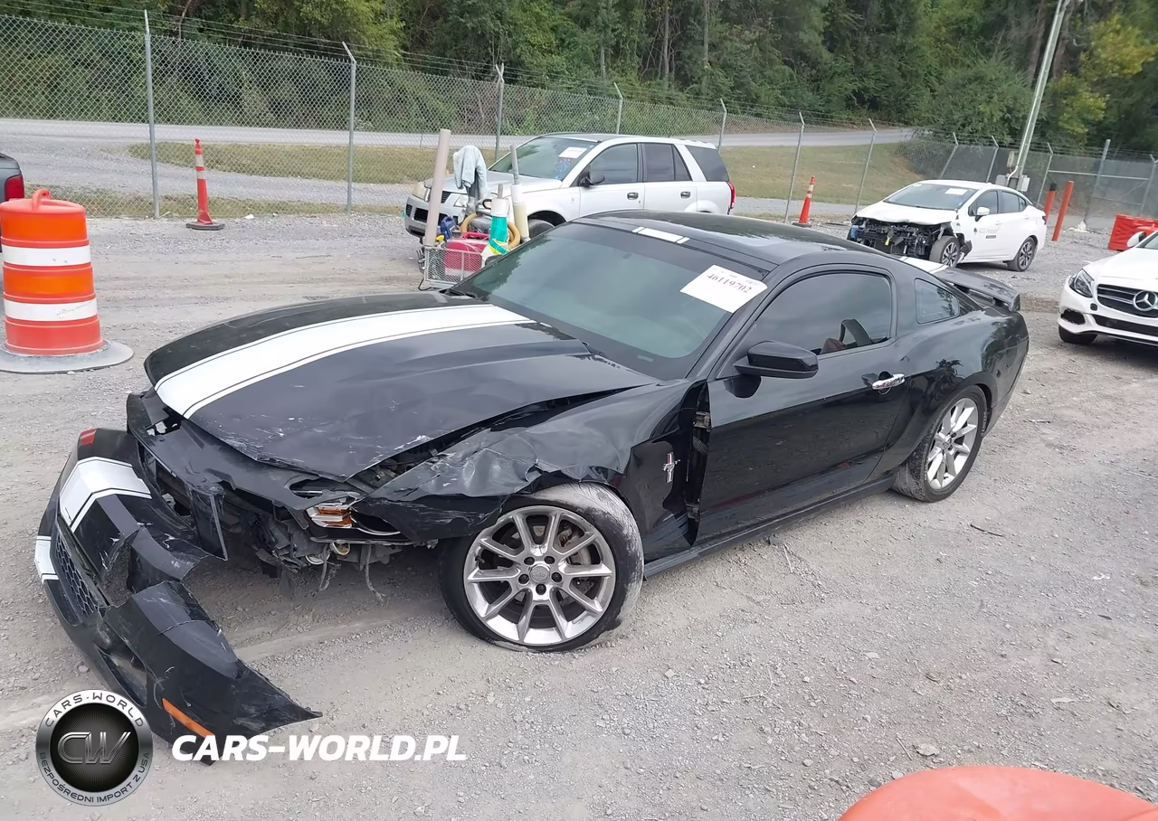 2010 Ford Mustang V6-V6 Premium VIN:1ZVBP8AN0A5105233 - 2