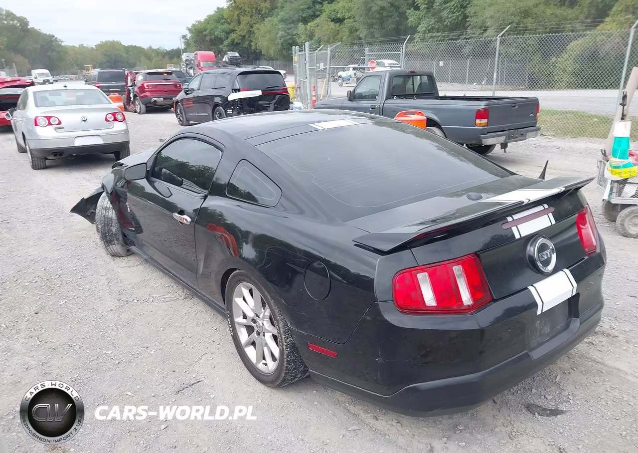 2010 Ford Mustang V6-V6 Premium VIN:1ZVBP8AN0A5105233 - 3