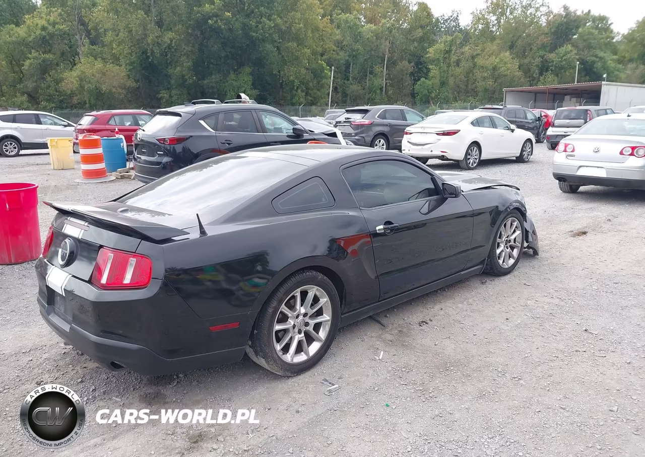 2010 Ford Mustang V6-V6 Premium VIN:1ZVBP8AN0A5105233 - 4