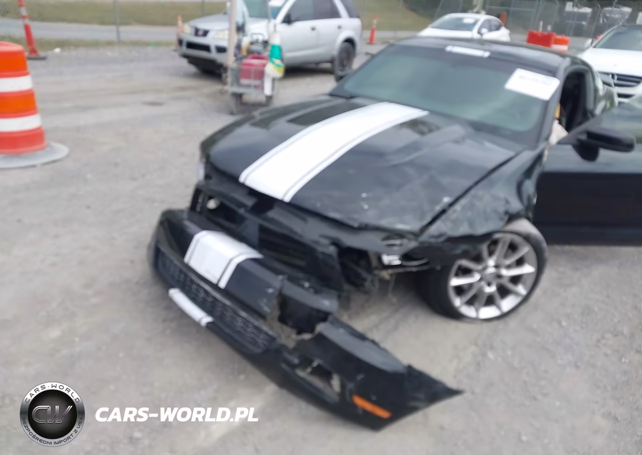 2010 Ford Mustang V6-V6 Premium VIN:1ZVBP8AN0A5105233 - 6
