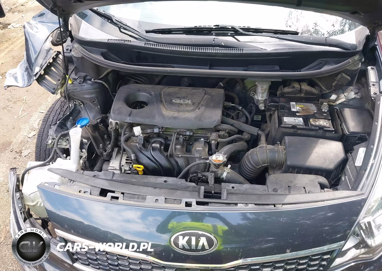2017 Kia Rio Ex VIN:KNADN4A37H6012977 - 10