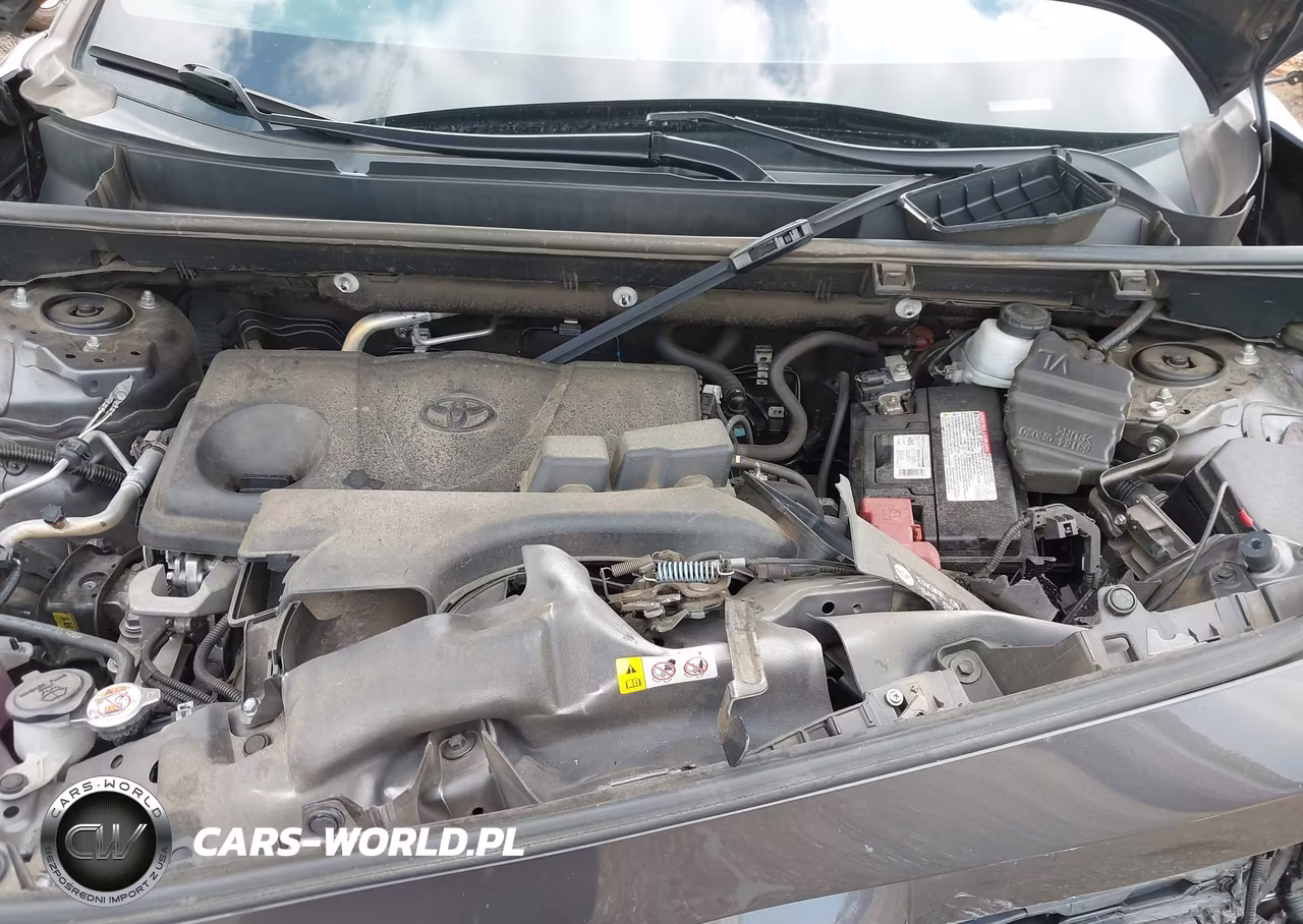2023 Toyota Rav4 Xle VIN:2T3W1RFV6PW260844 - 10