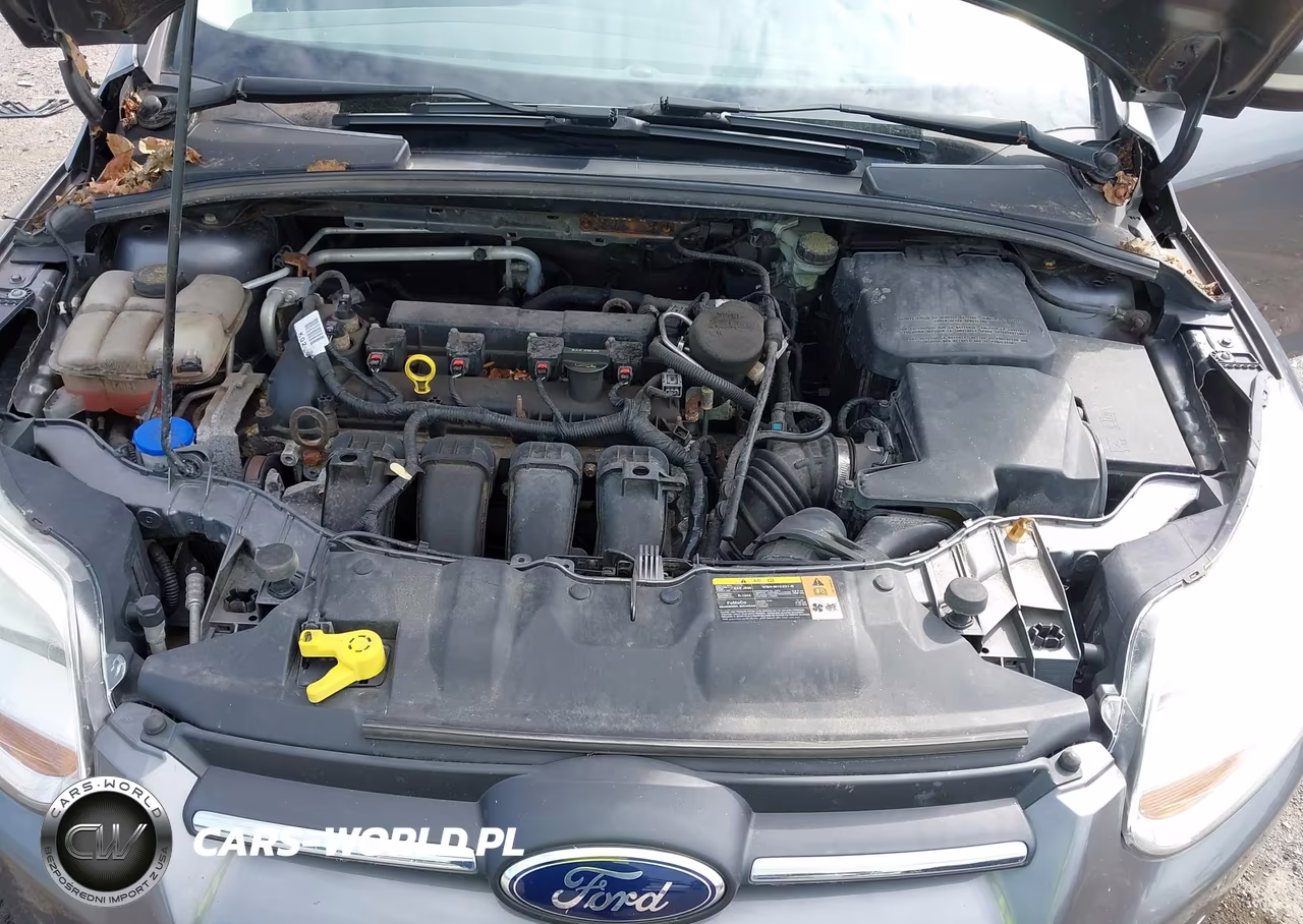 2014 Ford Focus Se VIN:1FADP3K21EL173891 - 10