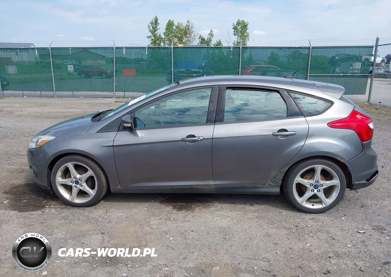 2014 Ford Focus Se VIN:1FADP3K21EL173891 - 14