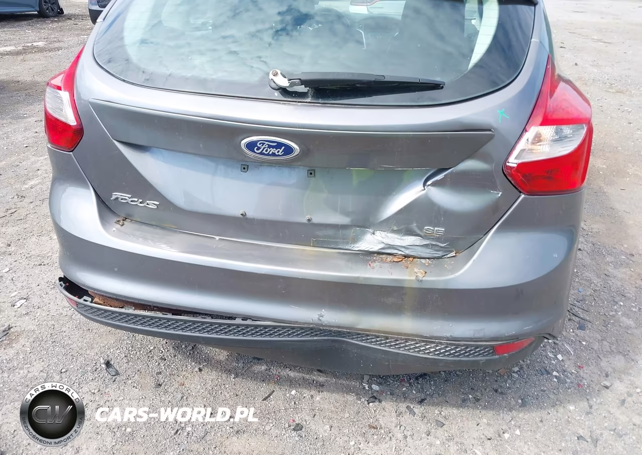 2014 Ford Focus Se VIN:1FADP3K21EL173891 - 6