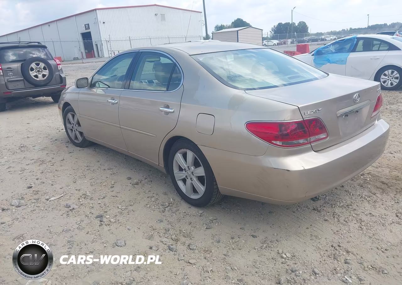 2005 Lexus Es 330 VIN:JTHBA30GX55075639 - 3