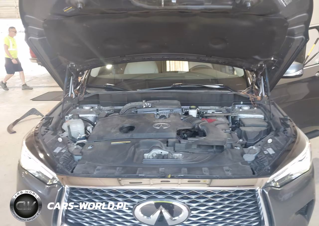 2019 Infiniti Qx50 Luxe VIN:3PCAJ5M32KF145323 - 10