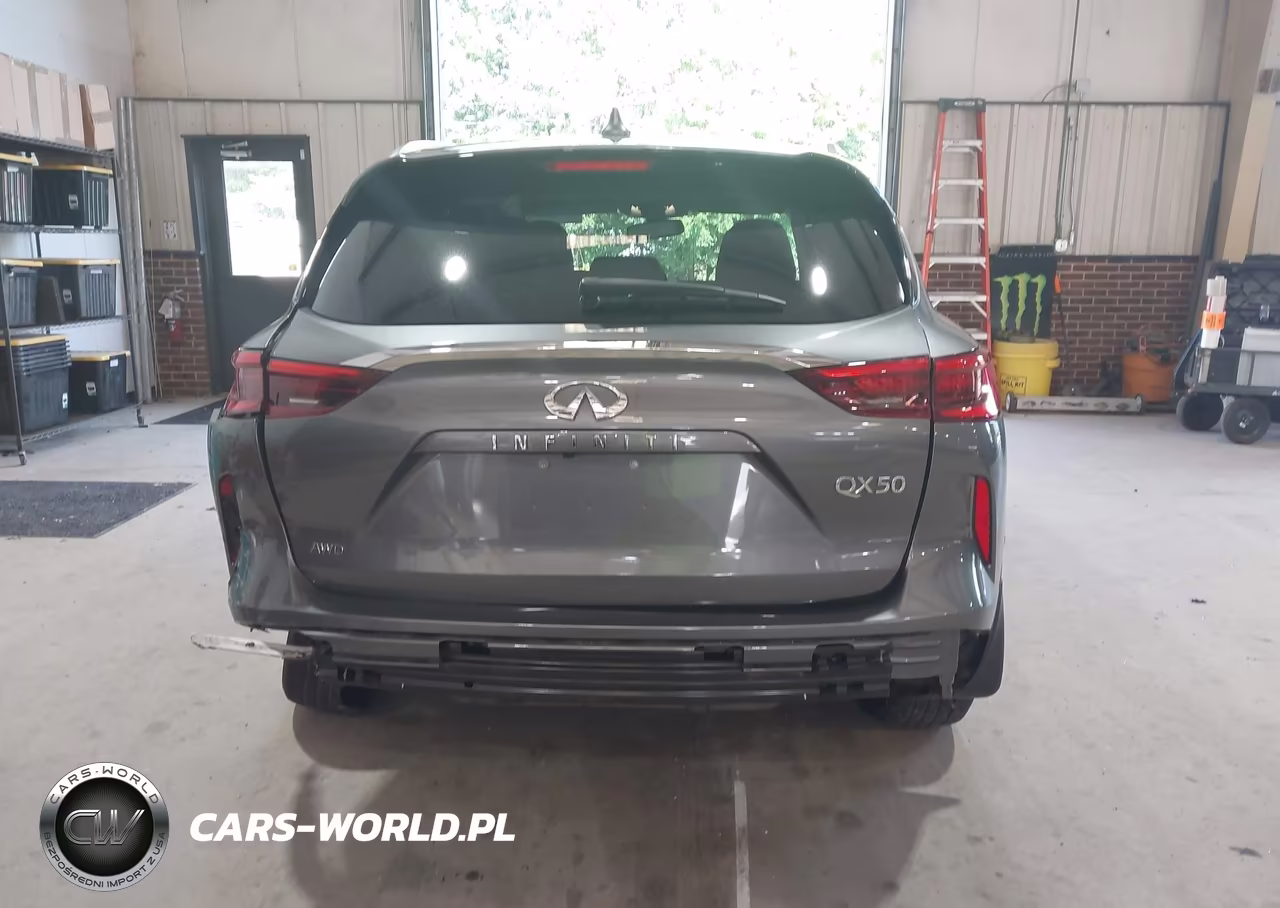 2019 Infiniti Qx50 Luxe VIN:3PCAJ5M32KF145323 - 17
