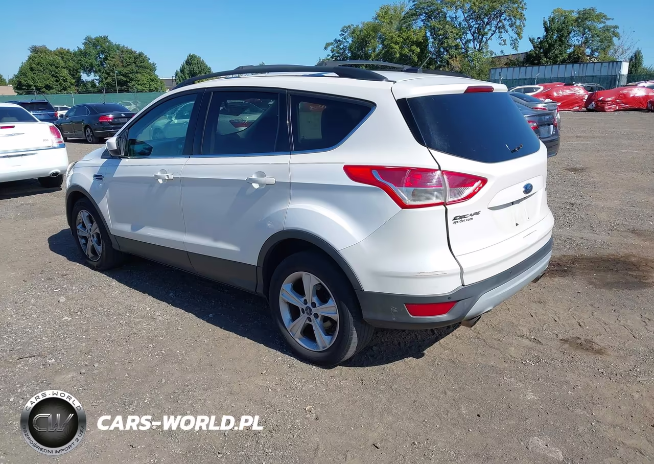 2014 Ford Escape Se VIN:1FMCU0G97EUB37440 - 3