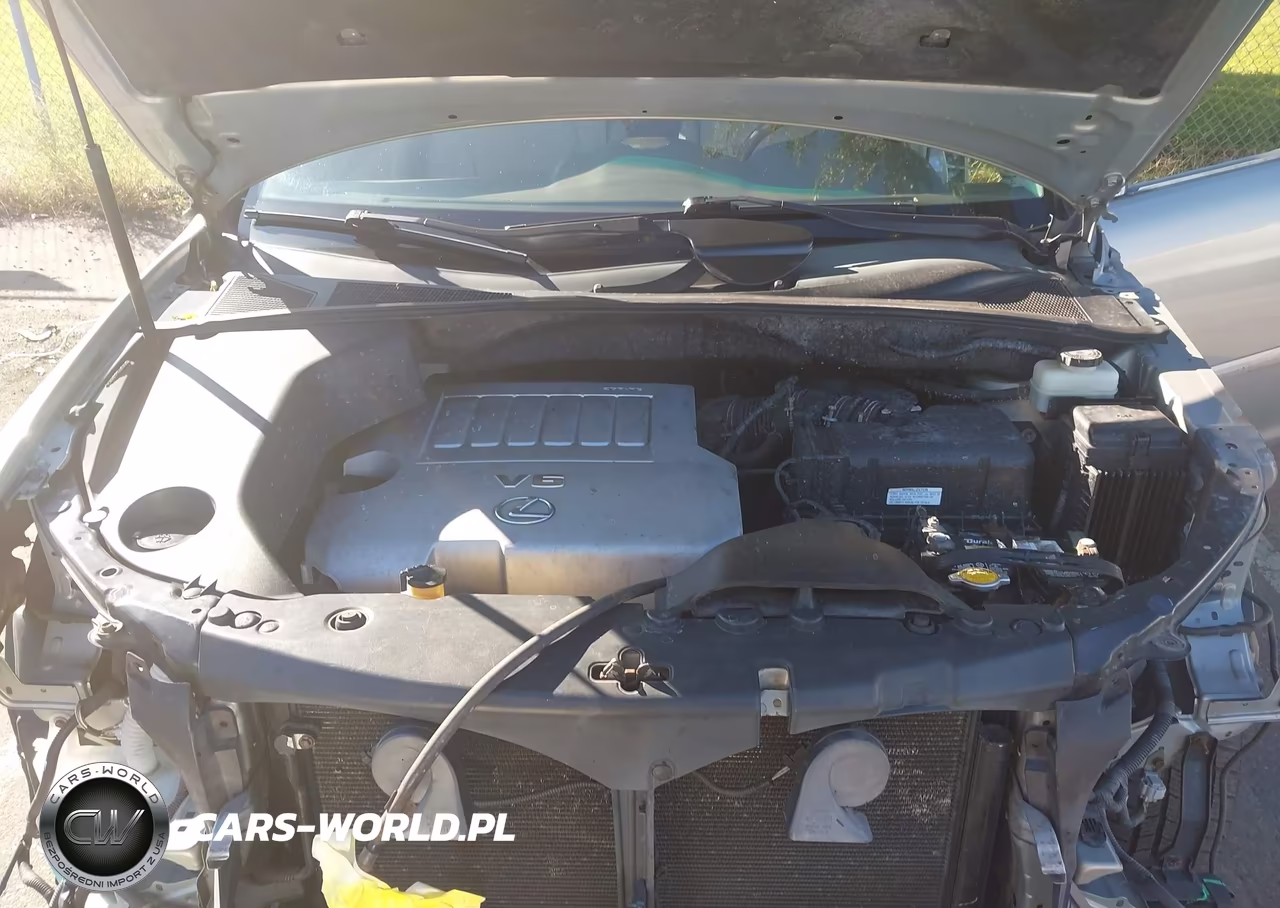 2007 Lexus Rx 350 VIN:2T2HK31U77C003814 - 10