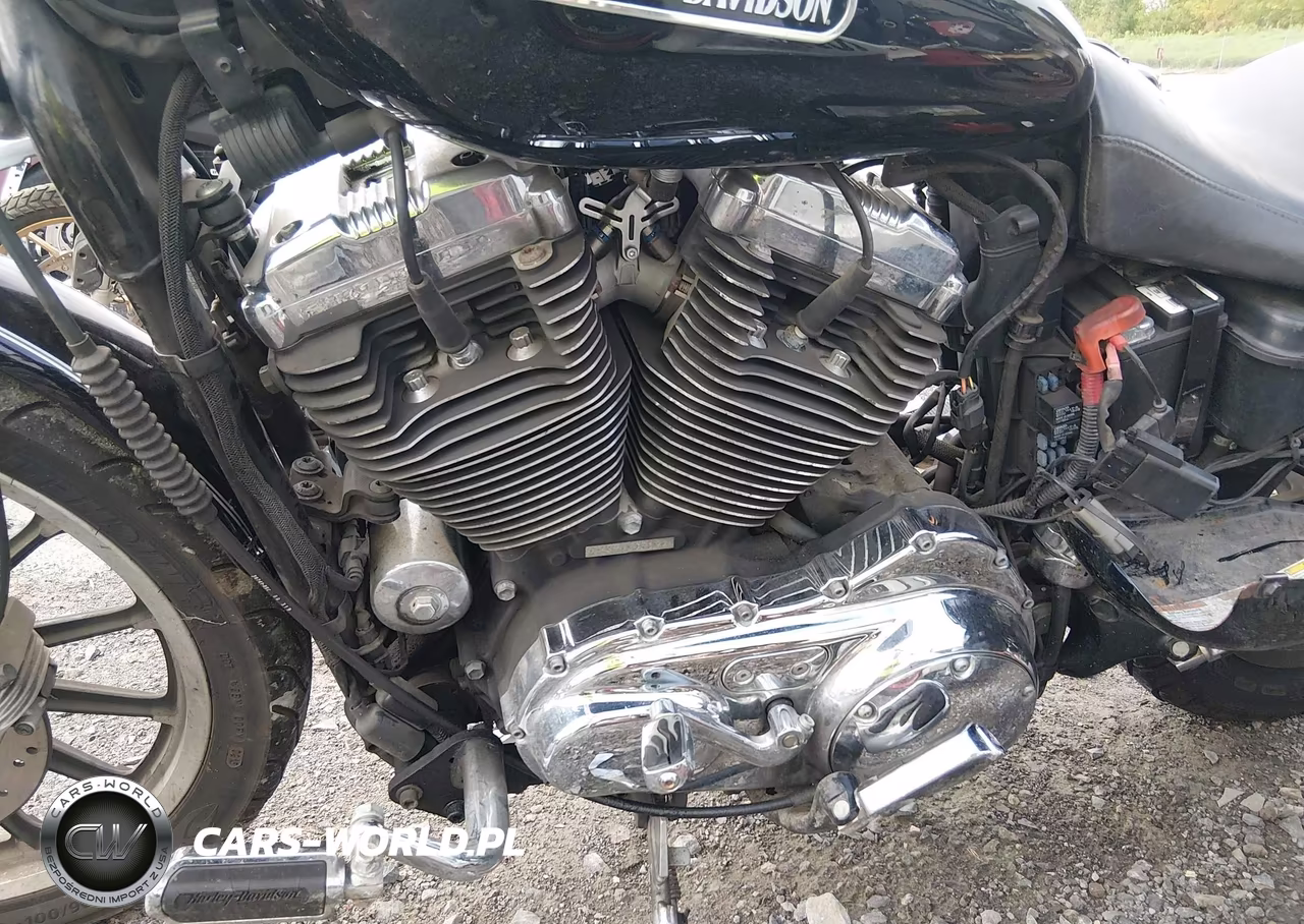 2009 Harley-Davidson Xl1200 L VIN:1HD1CX3119K430919 - 9
