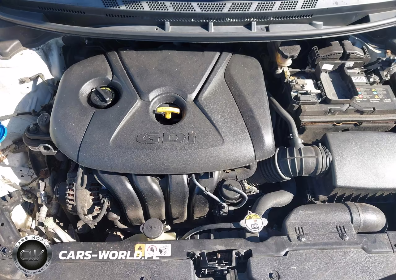2014 Kia Forte Ex VIN:KNAFZ4A81E5084638 - 10