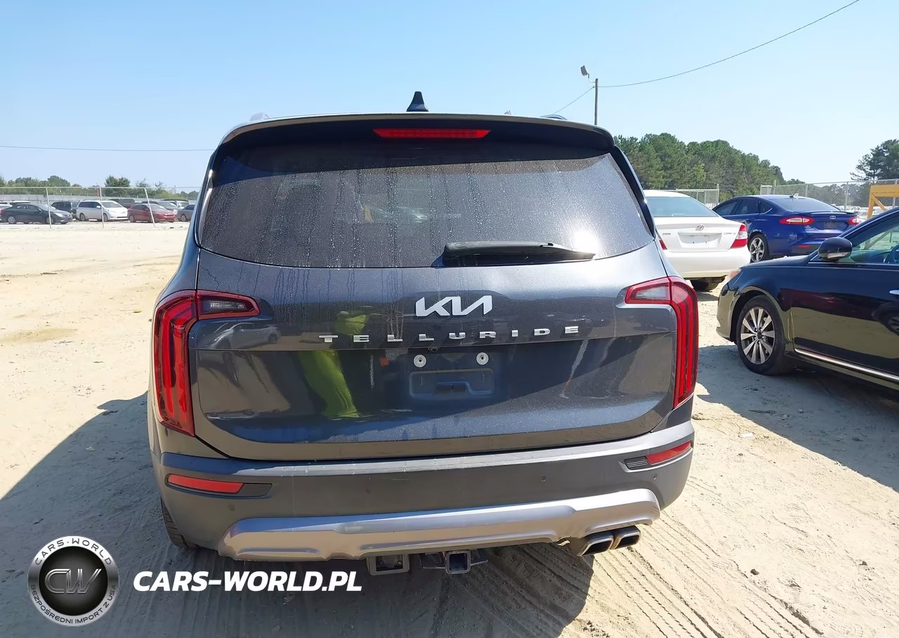 2022 Kia Telluride Ex VIN:5XYP34HC4NG301125 - 16