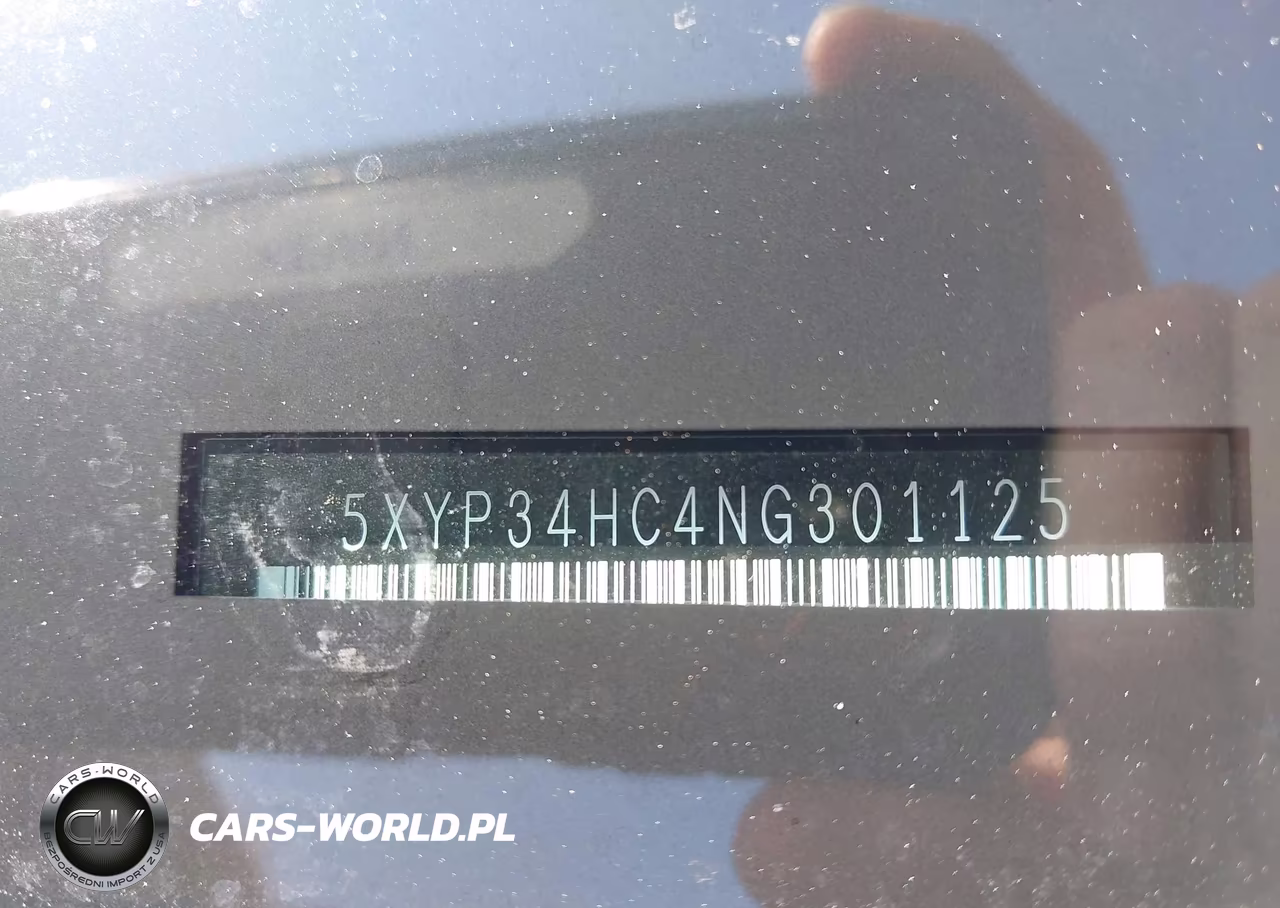 2022 Kia Telluride Ex VIN:5XYP34HC4NG301125 - 17
