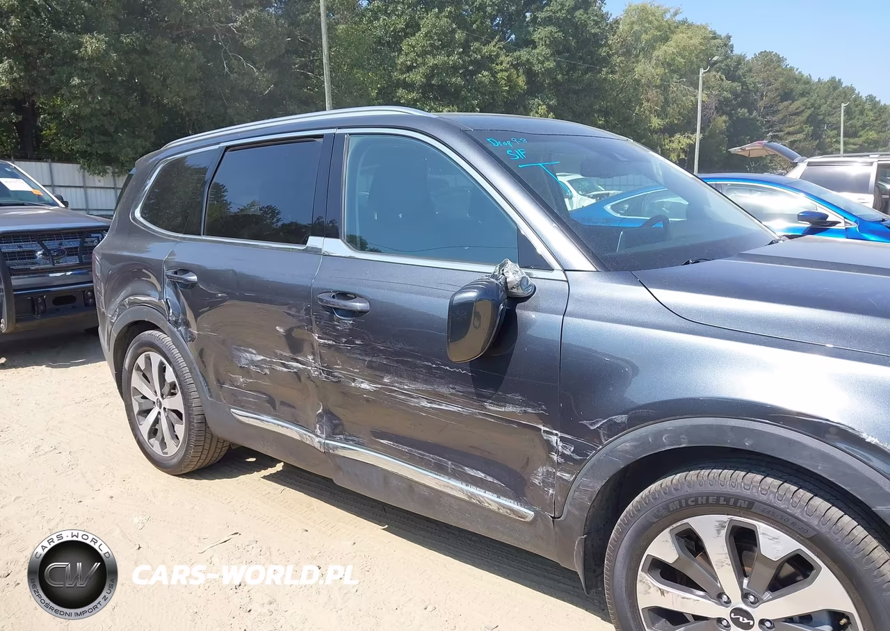 2022 Kia Telluride Ex VIN:5XYP34HC4NG301125 - 6