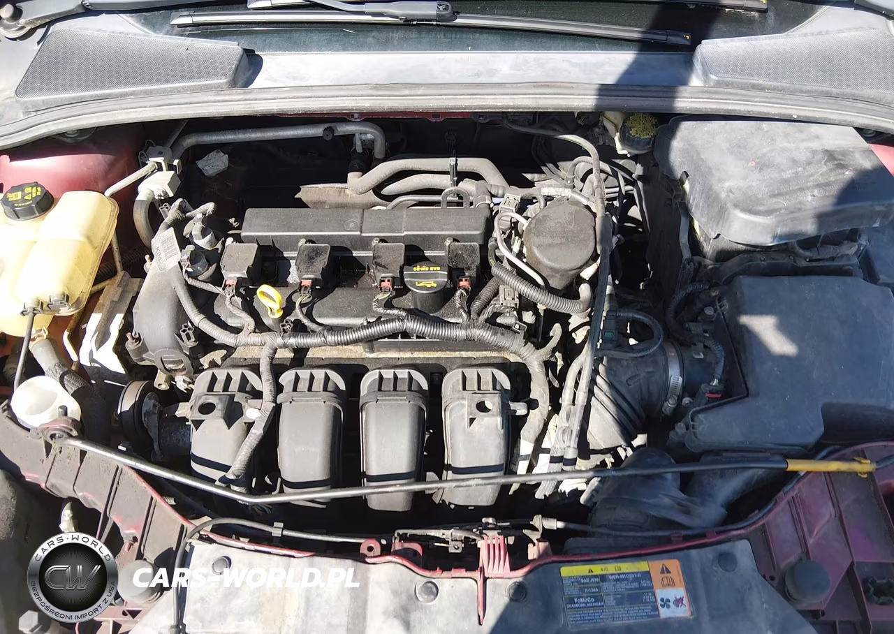 2014 Ford Focus Se VIN:1FADP3F29EL324681 - 10