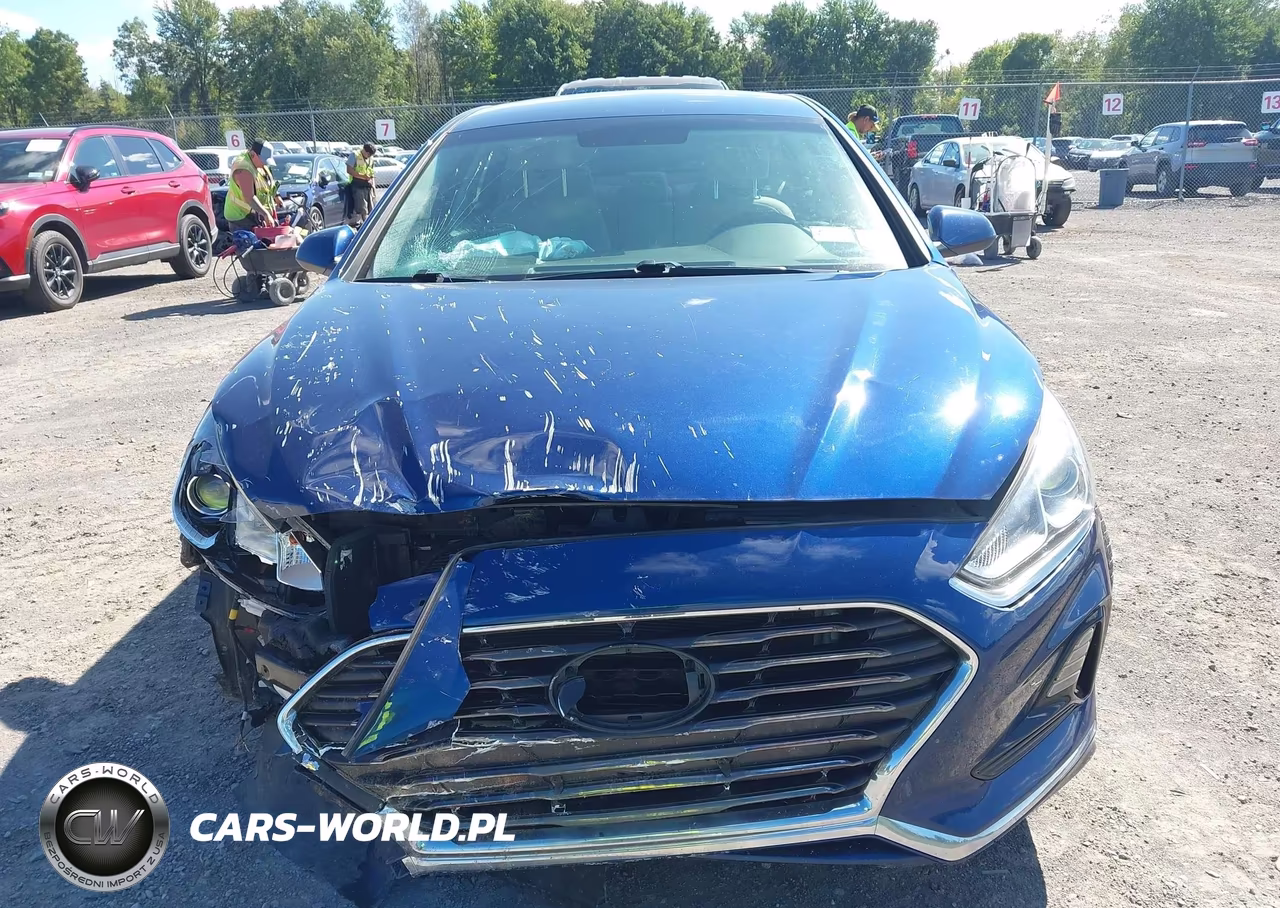 2019 Hyundai Sonata Se VIN:5NPE24AF1KH742665 - 13
