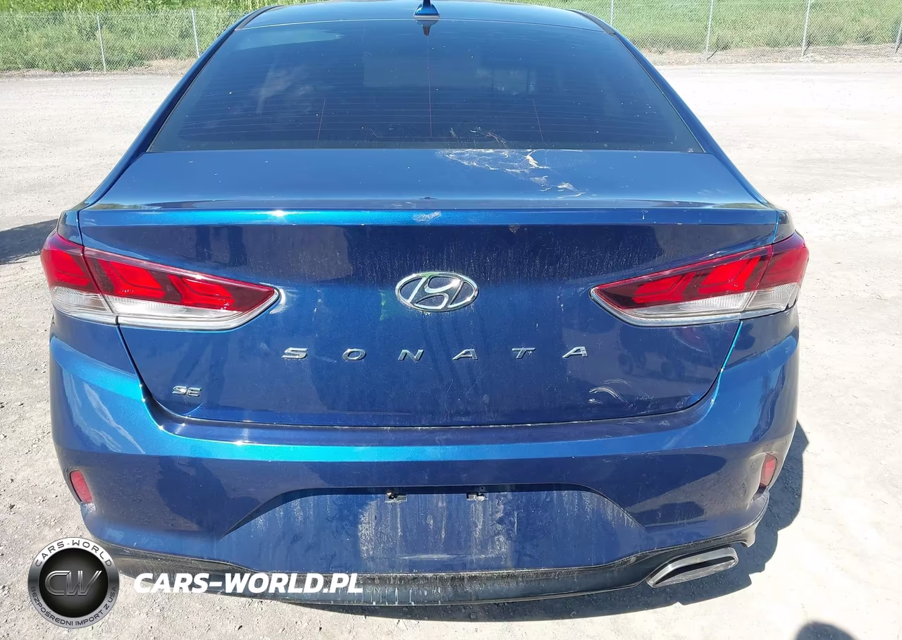 2019 Hyundai Sonata Se VIN:5NPE24AF1KH742665 - 17