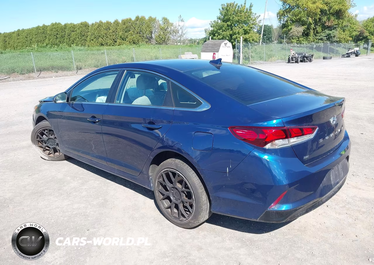 2019 Hyundai Sonata Se VIN:5NPE24AF1KH742665 - 3