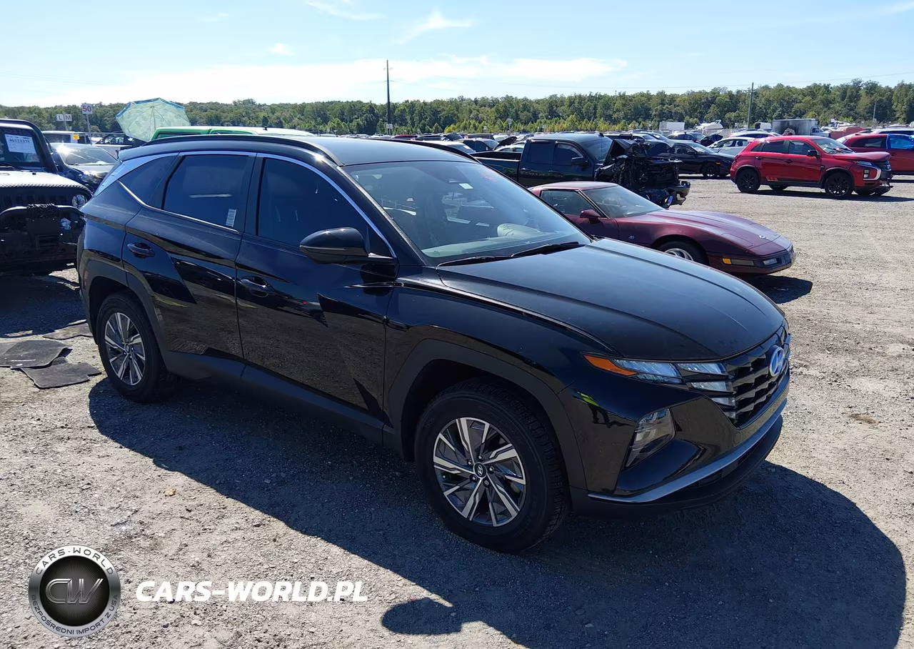 2023 Hyundai Tucson Hybrid Blue