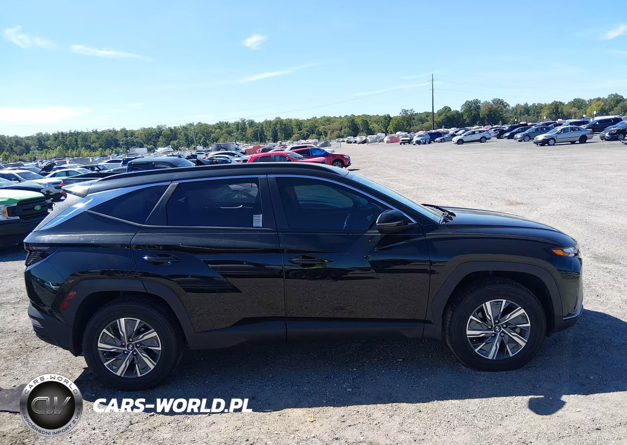 2023 Hyundai Tucson Hybrid Blue VIN:KM8JBCA19PU113855 - 13