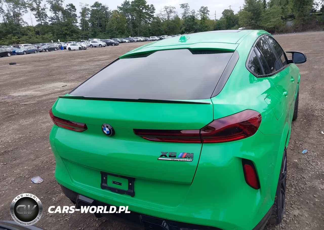 2024 BMW X6 M VIN:5YM23ET07R9U06415 - 16