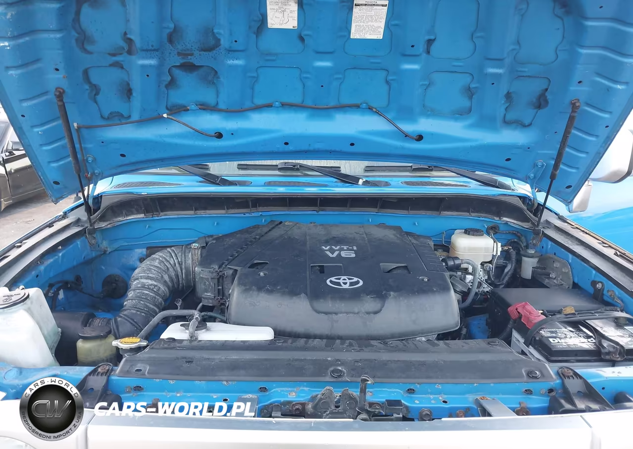 2007 Toyota Fj Cruiser VIN:JTEBU11FX70076160 - 10