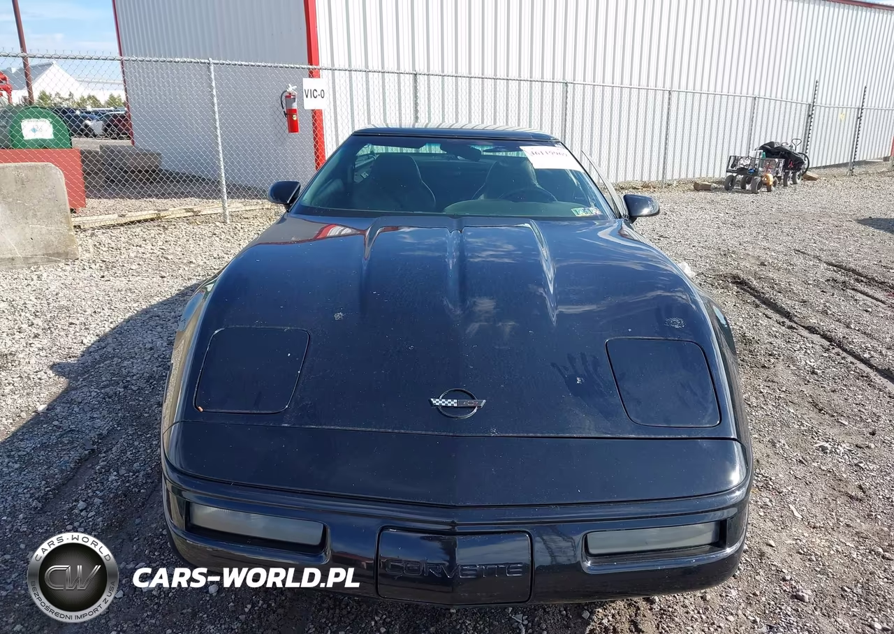 1996 Chevrolet Corvette VIN:1G1YY2256T5112267 - 12