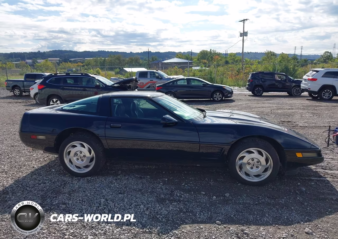 1996 Chevrolet Corvette VIN:1G1YY2256T5112267 - 13
