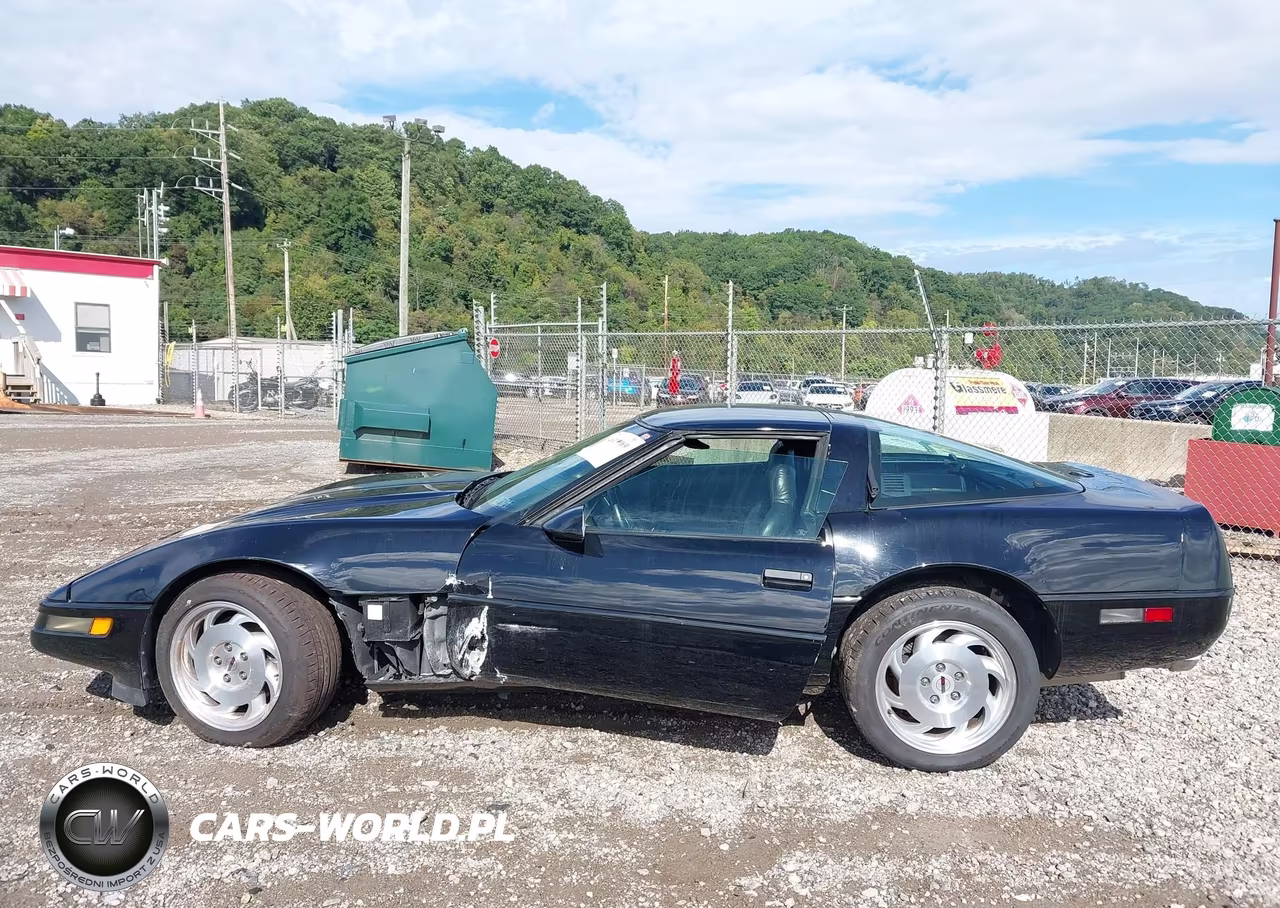 1996 Chevrolet Corvette VIN:1G1YY2256T5112267 - 14