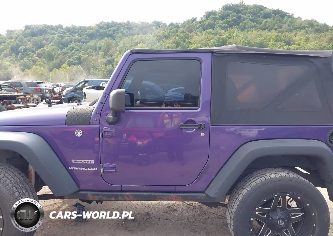 2017 Jeep Wrangler Sport 4X4 VIN:1C4AJWAG4HL716944 - 14
