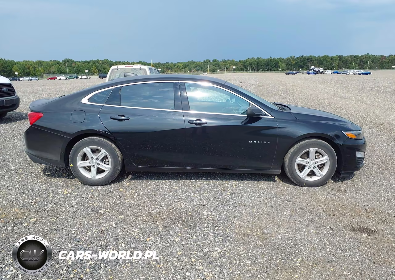 2020 Chevrolet Malibu Fwd 1Fl VIN:1G1ZC5ST4LF000743 - 17