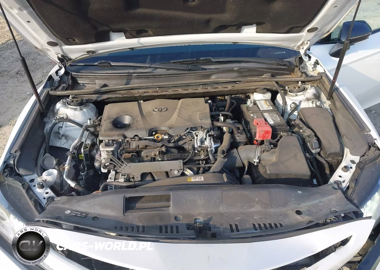 2019 Toyota Camry Xse VIN:4T1B61HK7KU276928 - 10
