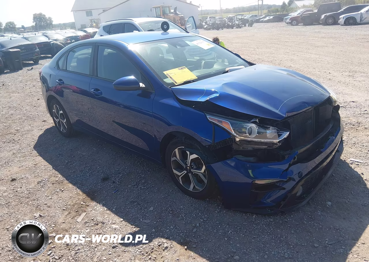 2019 Kia Forte Lxs