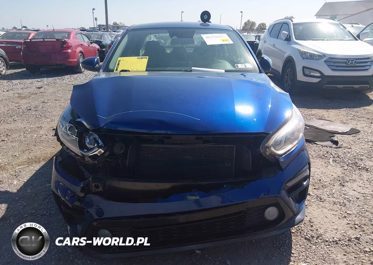 2019 Kia Forte Lxs VIN:3KPF24AD9KE060561 - 12