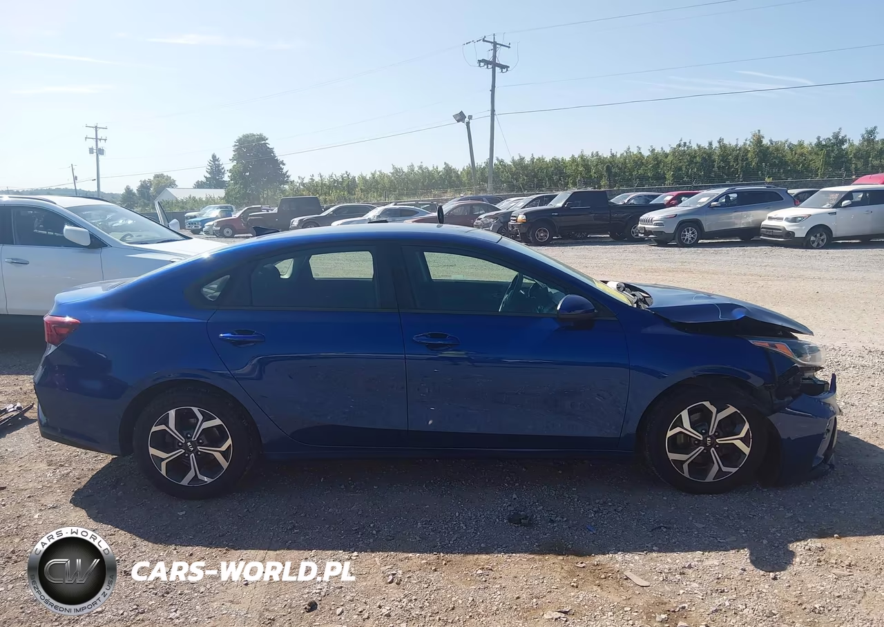 2019 Kia Forte Lxs VIN:3KPF24AD9KE060561 - 13