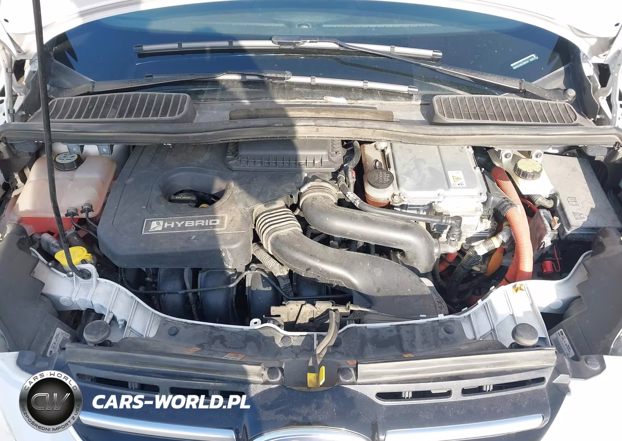 2013 Ford C-Max Hybrid Se VIN:1FADP5AU8DL509341 - 10