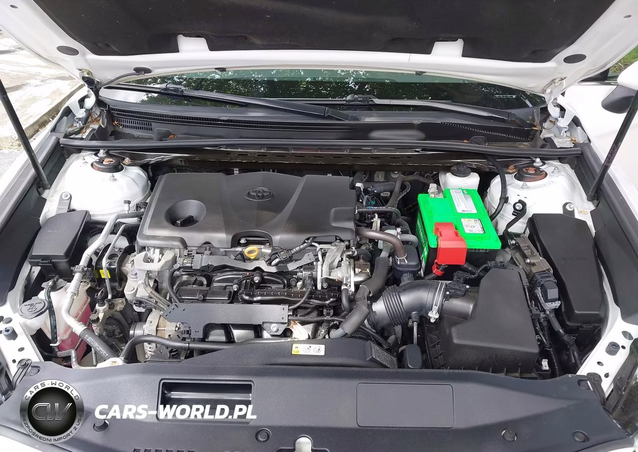 2019 Toyota Camry Xle VIN:4T1B11HK8KU839144 - 10