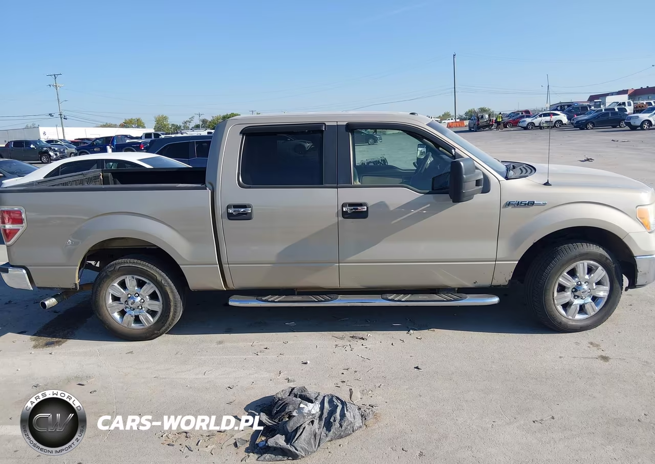 2010 Ford F-150 Fx2 Sport-Harley-Davidson-King Ranch-Lariat-Platinum-Xl-Xlt VIN:1FTFW1CV3AFA57944 - 13