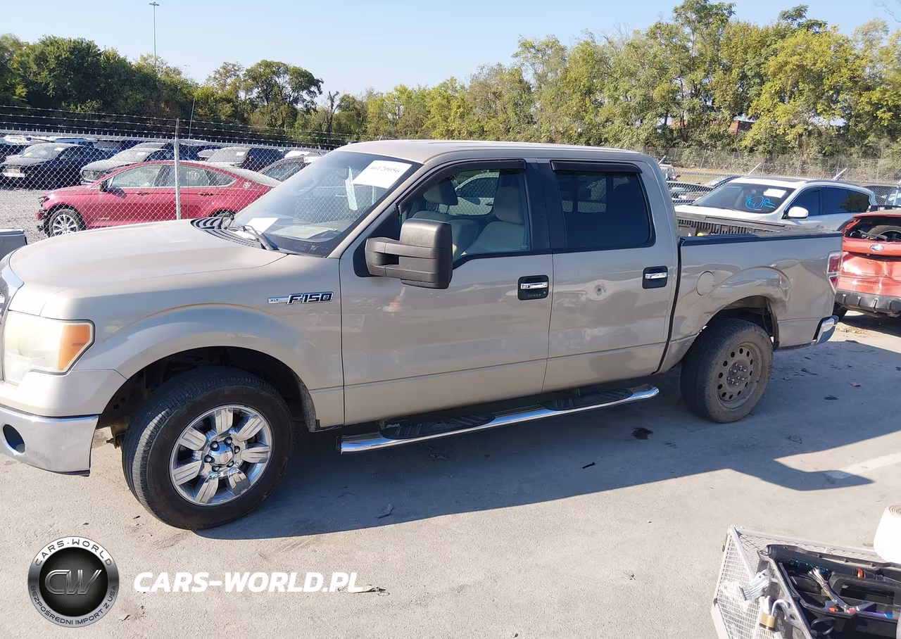 2010 Ford F-150 Fx2 Sport-Harley-Davidson-King Ranch-Lariat-Platinum-Xl-Xlt VIN:1FTFW1CV3AFA57944 - 14