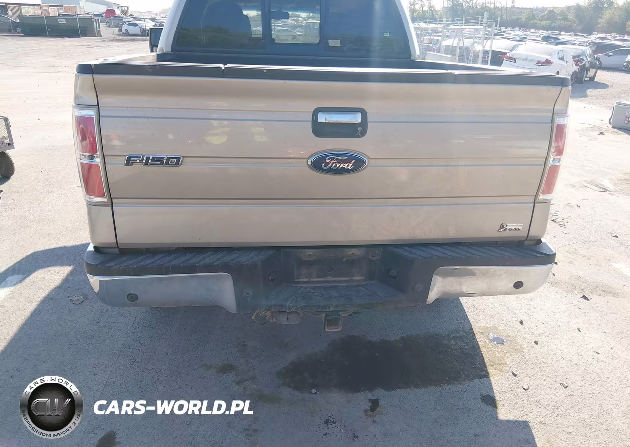 2010 Ford F-150 Fx2 Sport-Harley-Davidson-King Ranch-Lariat-Platinum-Xl-Xlt VIN:1FTFW1CV3AFA57944 - 16