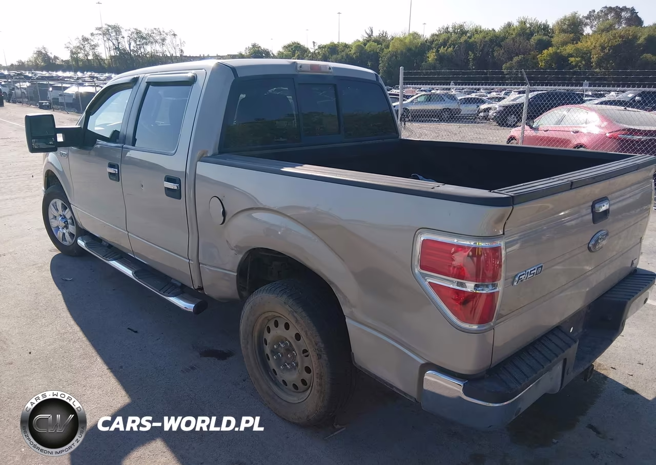 2010 Ford F-150 Fx2 Sport-Harley-Davidson-King Ranch-Lariat-Platinum-Xl-Xlt VIN:1FTFW1CV3AFA57944 - 3