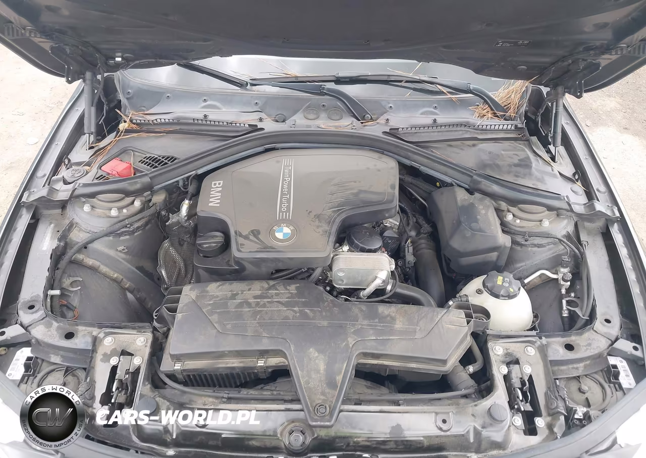 2016 BMW 320I VIN:WBA8A9C50GK618541 - 10