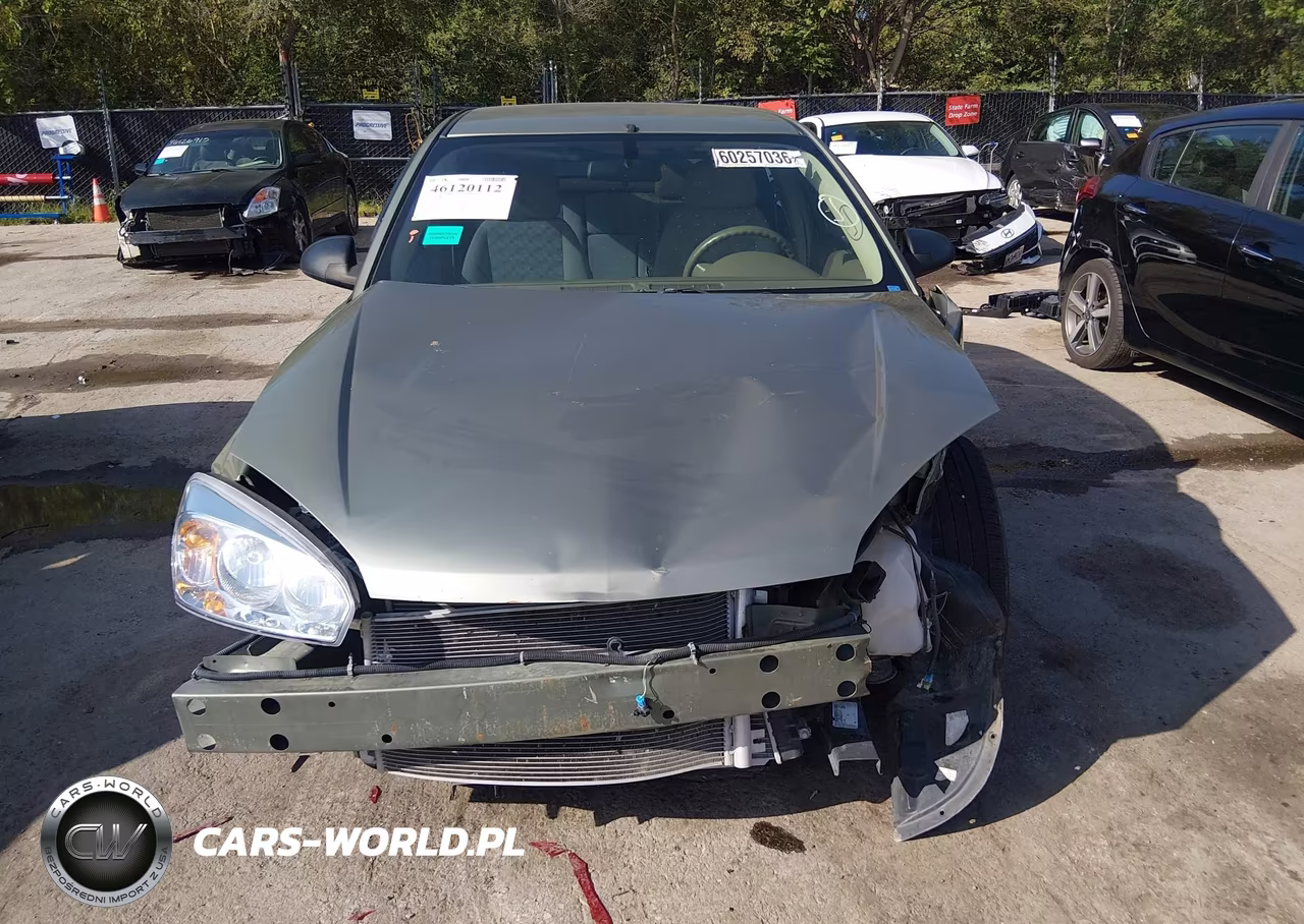 2005 Chevrolet Malibu Ls VIN:1G1ZT62885F319440 - 12