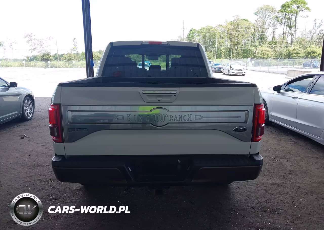 2017 Ford F-150 King Ranch VIN:1FTEW1EG2HFB48594 - 16