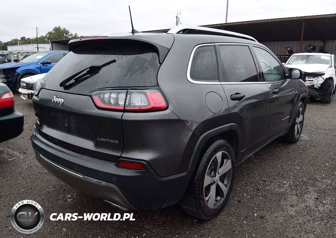 2019 Jeep Cherokee Limited 4X4 VIN:1C4PJMDX5KD379339 - 4